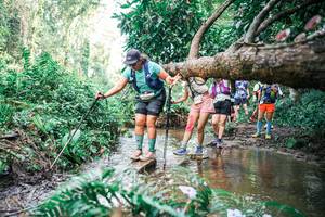 BIB: 
                            <button type="button" onclick="openModal(25516332)" class="btn btn-primary btn-sm float-right btn-popup" data-toggle="modal" data-target=".modal-high-quality">
                        <i class="fas fa-shopping-cart"></i> Add to Cart
                    </button>
                                            <button type="button" onclick="isThisMe(25516332, true)" class="btn btn-success btn-sm float-right btn-popup btn-isme hidden" data-toggle="tooltip" data-placement="bottom" title="นี่คือรูปของคุณใช่ไหม คลิกที่นี่เพื่อเอาเข้าอัลบั้ม">
                        <i class="fas fa-plus"></i> Add to album
                    </button>
                    <button type="button" onclick="isThisMe(25516332, false)" class="btn btn-warning btn-sm float-right btn-popup btn-isnotme hidden">
                        <i class="fas fa-ban"></i> Remove from album
                    </button>